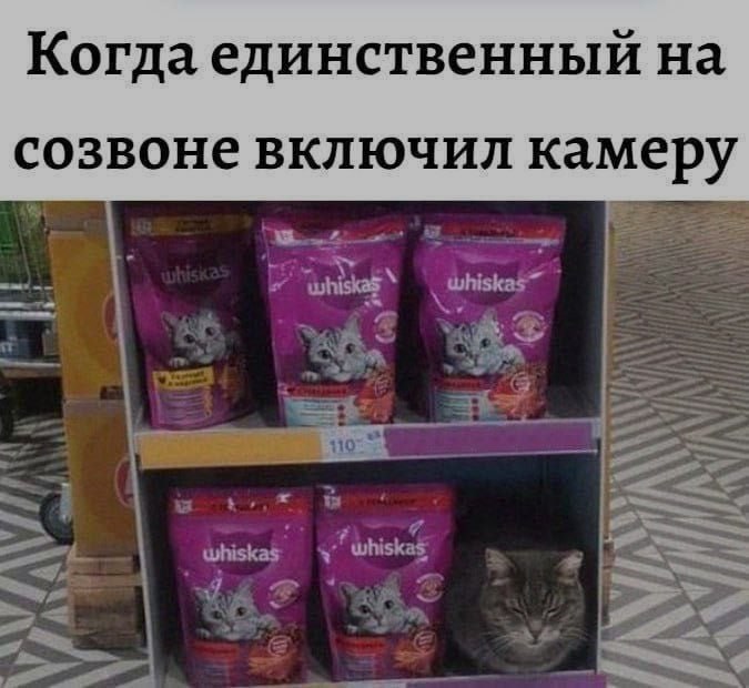 Ночная подборочка
Спать, режим
