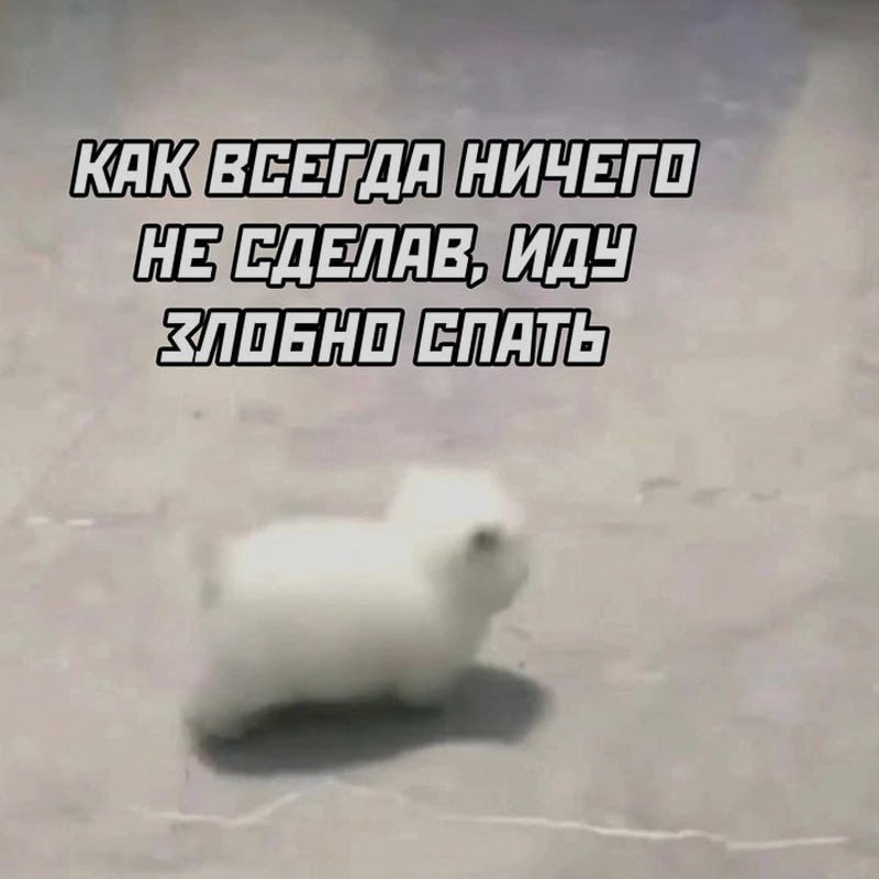 Ночная подборочка
Спать, режим