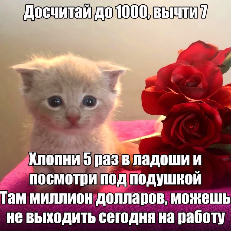 Утренняя подборочка