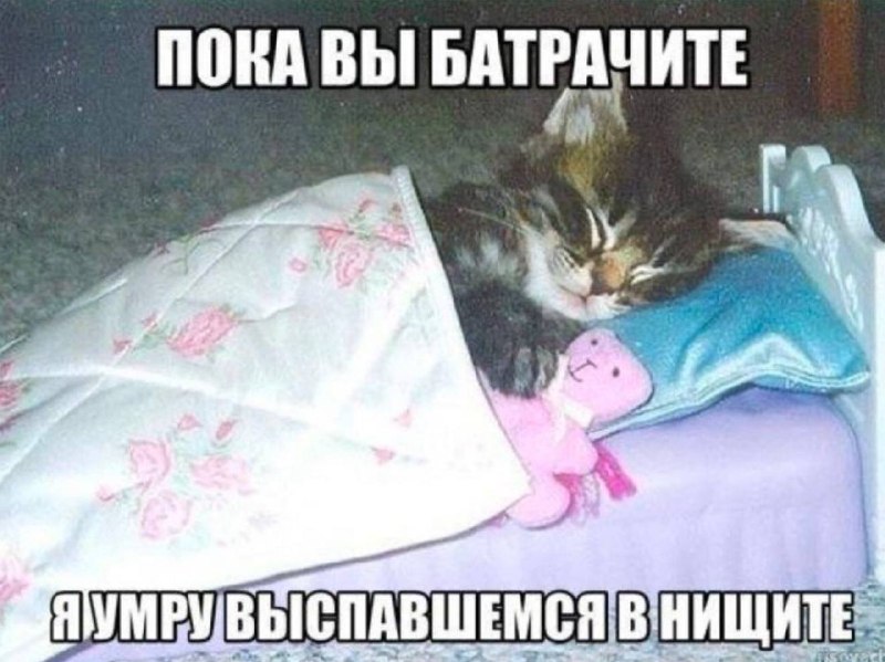 мы точно в плюсе?