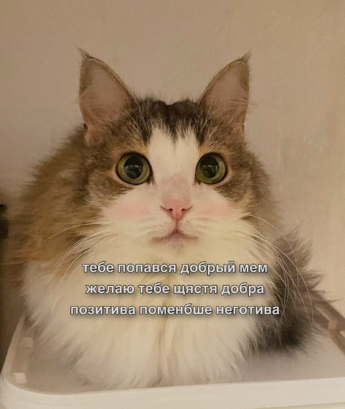 Ночная подборочка
Спать, режим