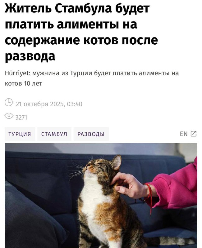 Турок будет 10 лет платить алименты… для котов.
Суд в Стамбуле обязал мужчину перечислять бывшей ж