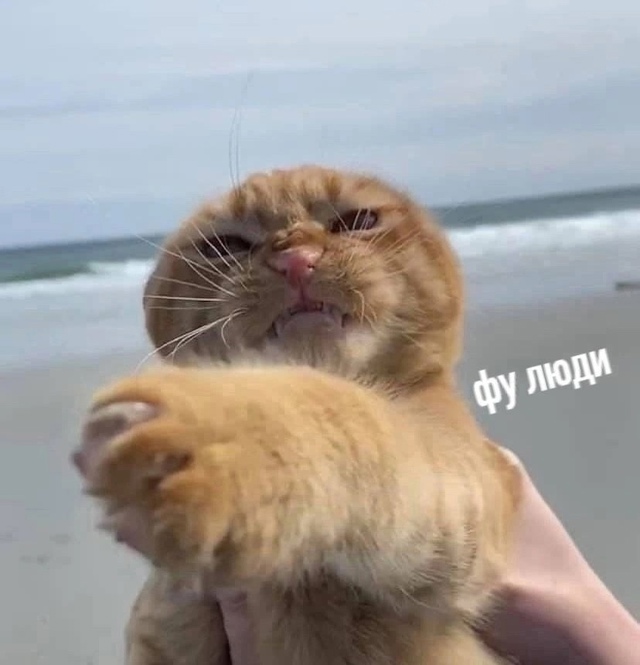 Мoе cocтояние этим летoм: