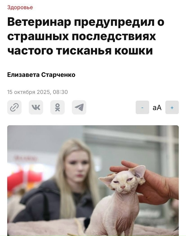⚡️Затискать свою кошку до смерти вполне реально, пред...