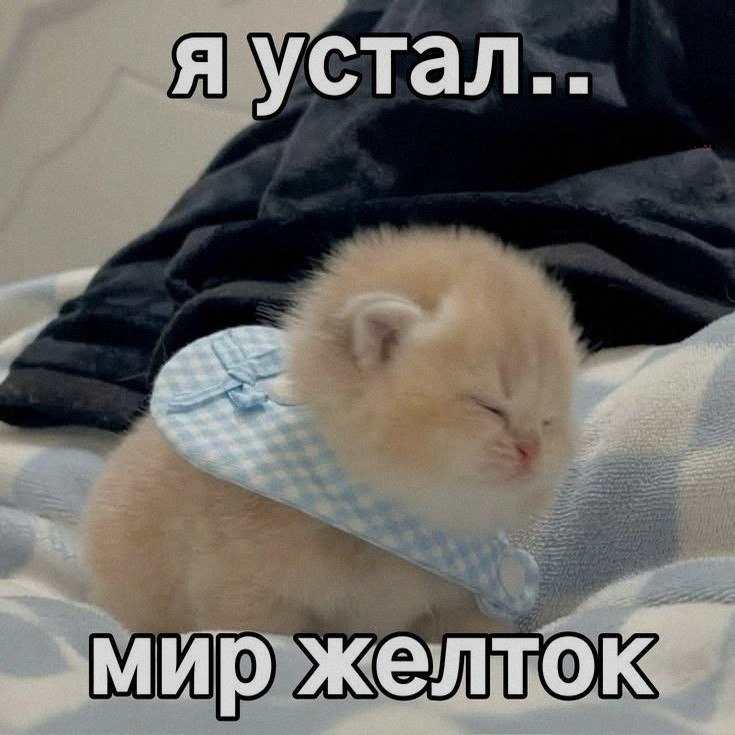 Ночная подборочка
Спать, режим