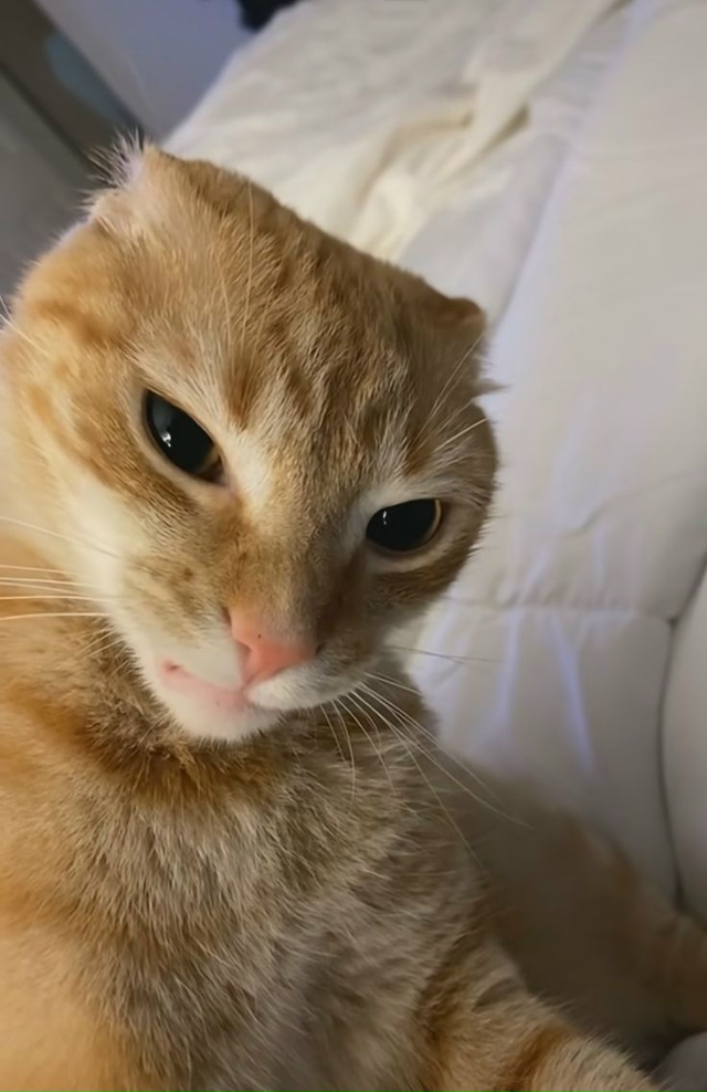 Несомненно, это вполне обоснованно.