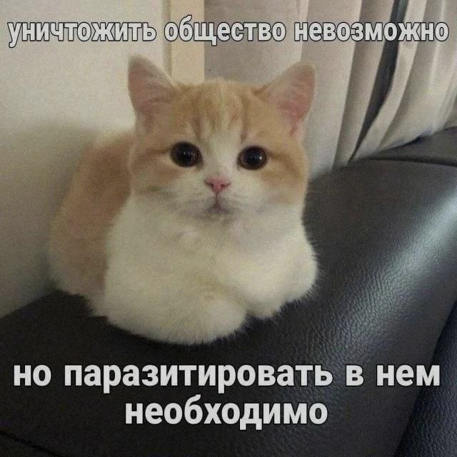 Ночная подборочка
Спать, режим