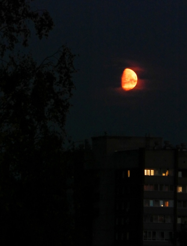 Растёт 🌙