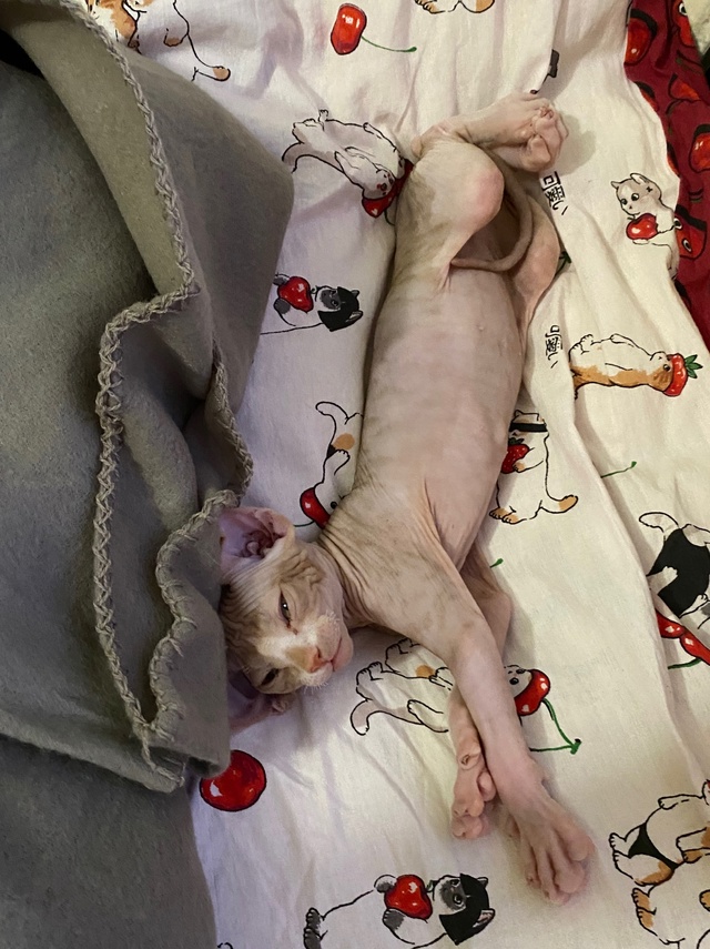 ?Мэджик ✨ Часть 1