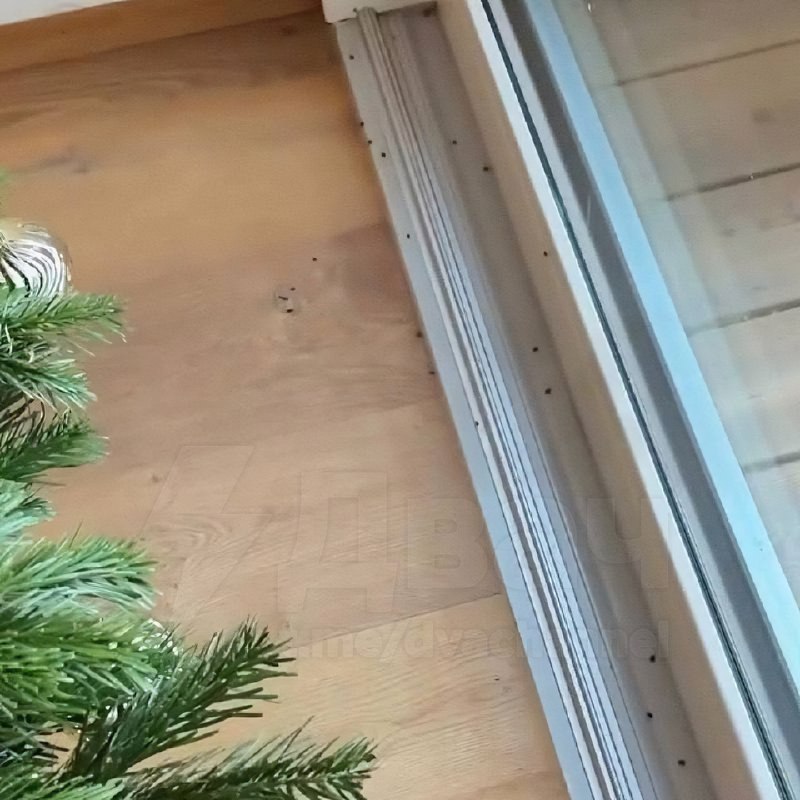 ❗️Квартиры россиян атакуют опасные «ёлочные» клещи
Из-за аномально тёплой зимы паразиты не ушли в с