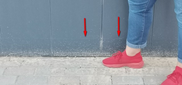 Новая Венеция Ковровского разлива🤷‍♂️🤣
Господа и ...