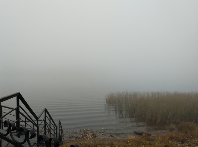 Завораживающий туман в Н.-Березовке 😍