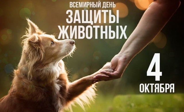 🌍🐾 Всемирный день защиты животных! 🐾🌍