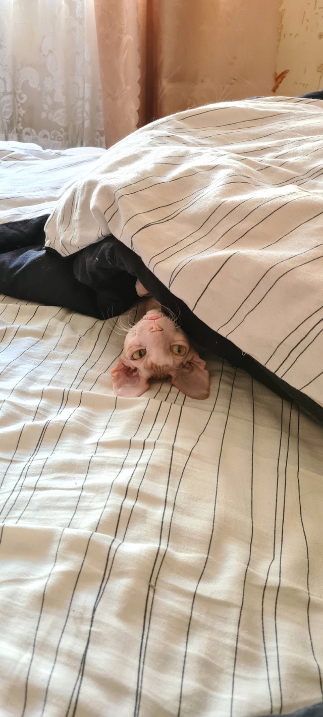 Всем привет! Мы тут новенькие, хотя и давно следим )
Зна?...