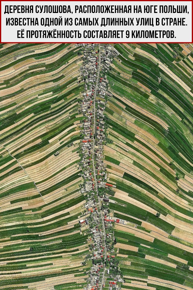 «Я живу на главной улице» - может сказать каждый житель...