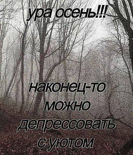 Утренняя подборочка