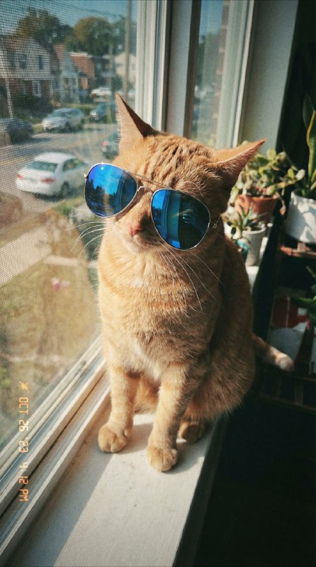 Не дотягивает пока новая GPT Image до Nano Banana. По очереди пойдут сравнения по одинаковым промтам