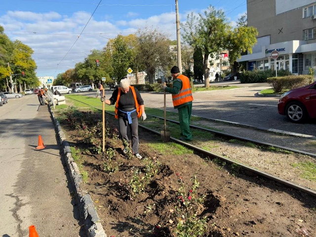🌹Улица Фрунзе продолжает преображаться.
Озеленители...