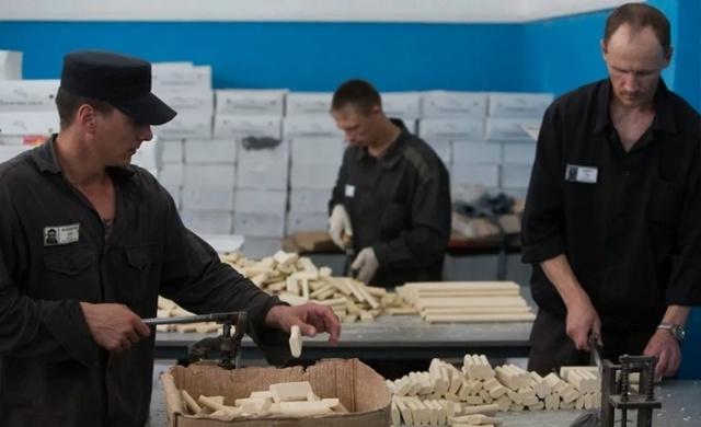 ⚡️Зарплаты зэков в России превысили оклады учителей
...