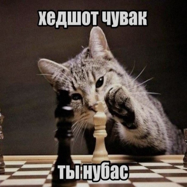 Ночная подборочка
Спать, режим
