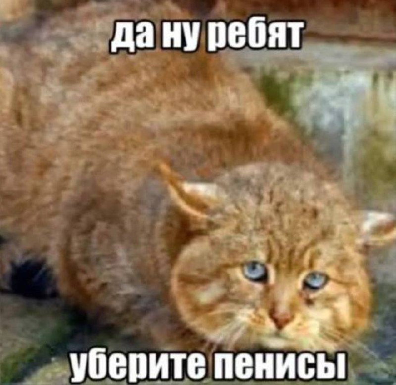 Как ощущается порнуха после того, как уже кончила