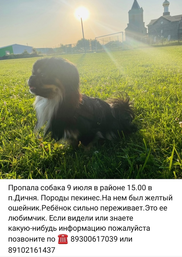 Добрый день. Надеемся еще его найти. Может кто-то видел ...