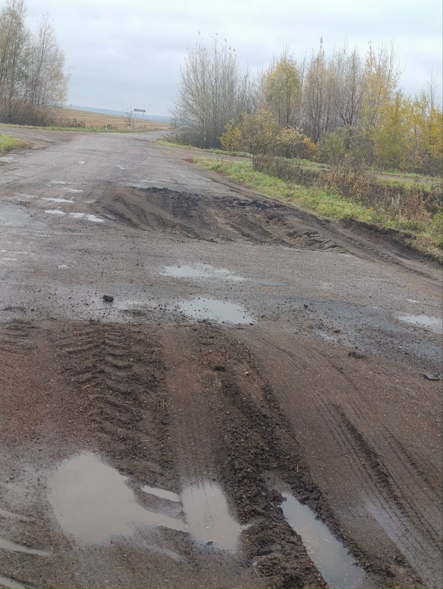 это в забелой дорога на Печенкино дальше поворота на М?...