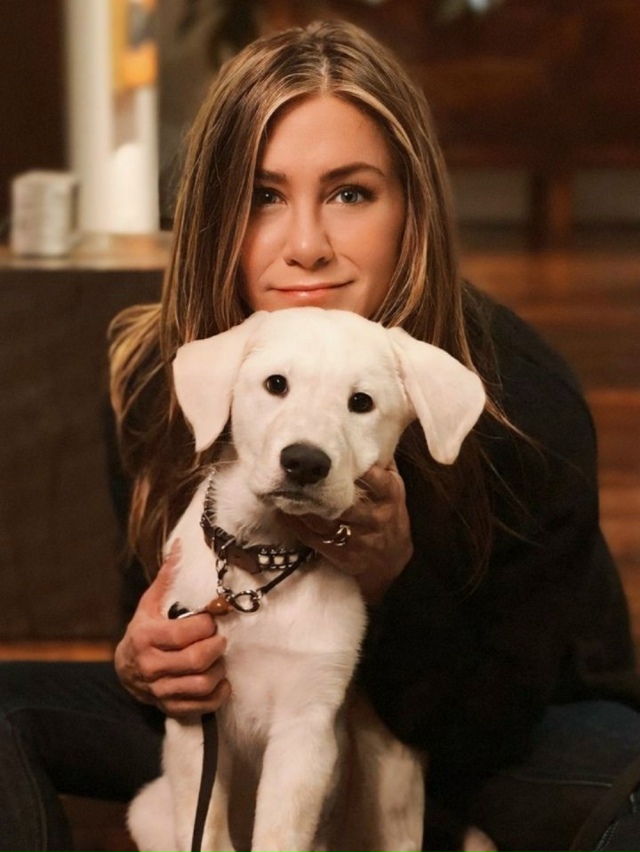 Дженнифер Энистон откровенно поделилась, почему у неё ...