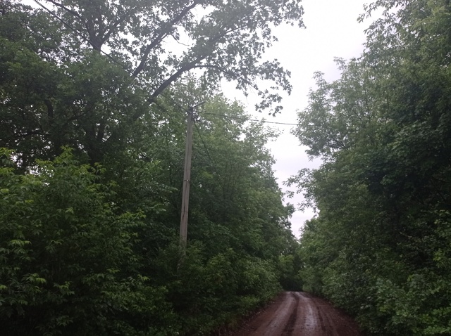 Вот такая грязь в посёлке ВТК.
5 лет подряд пишу обраще?...