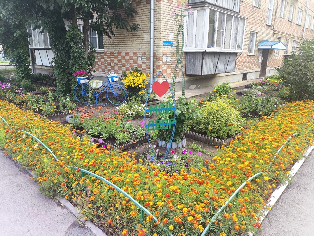 Доброго дня🤝
Вот такую красоту можно встретить во дво...