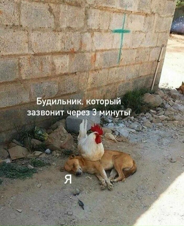 Однако, доброе утро!