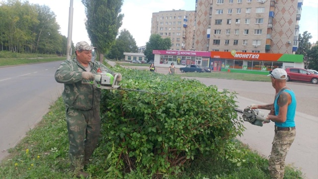 В Салавате полным ходом идет стрижка кустарников🌳 Р?...