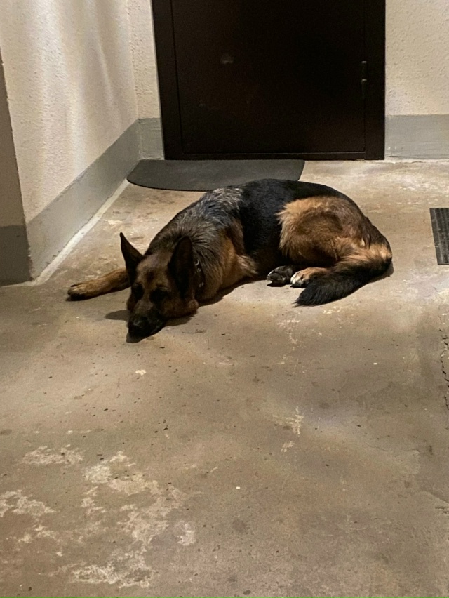 Пропустите, пожалуйста
🆘️🆘️🆘️🆘️🆘️🆘️🆘️🆘️?...