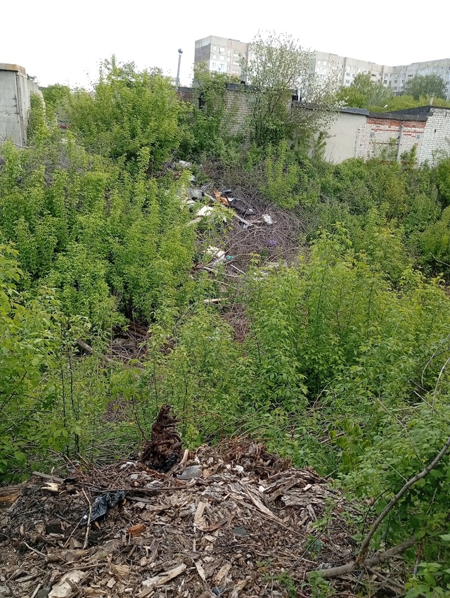 Овраг возле ласки превратился в натуральную свалку,и в...