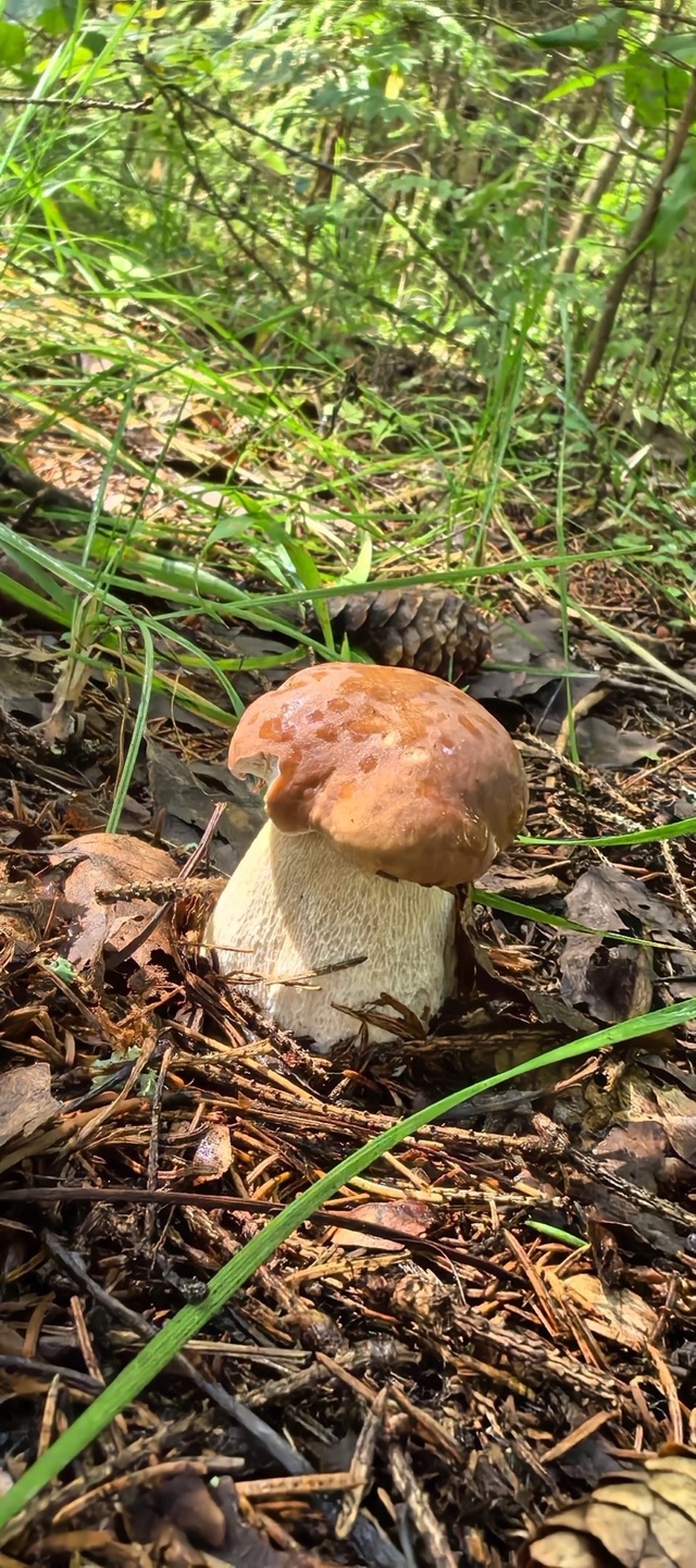 Тихая охота 🌱❤
📷 Наталья Кондратюк