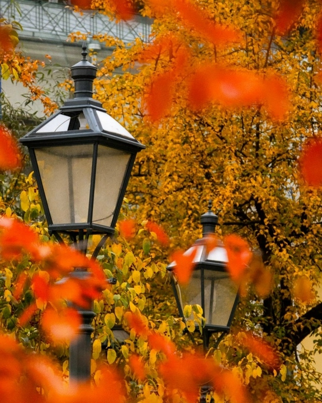 Осенняя Пречистенка 🍁.
Фото: tanushka_mar