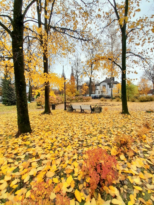 Осень в Карякинском саду ❤️
📷 Елена Михайлова