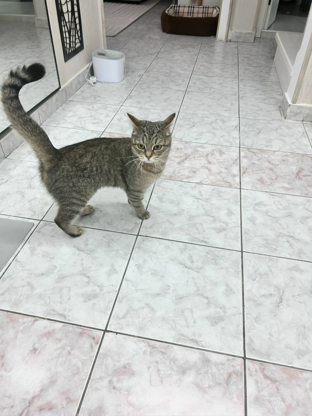 Кто потерял? Село Ильинское