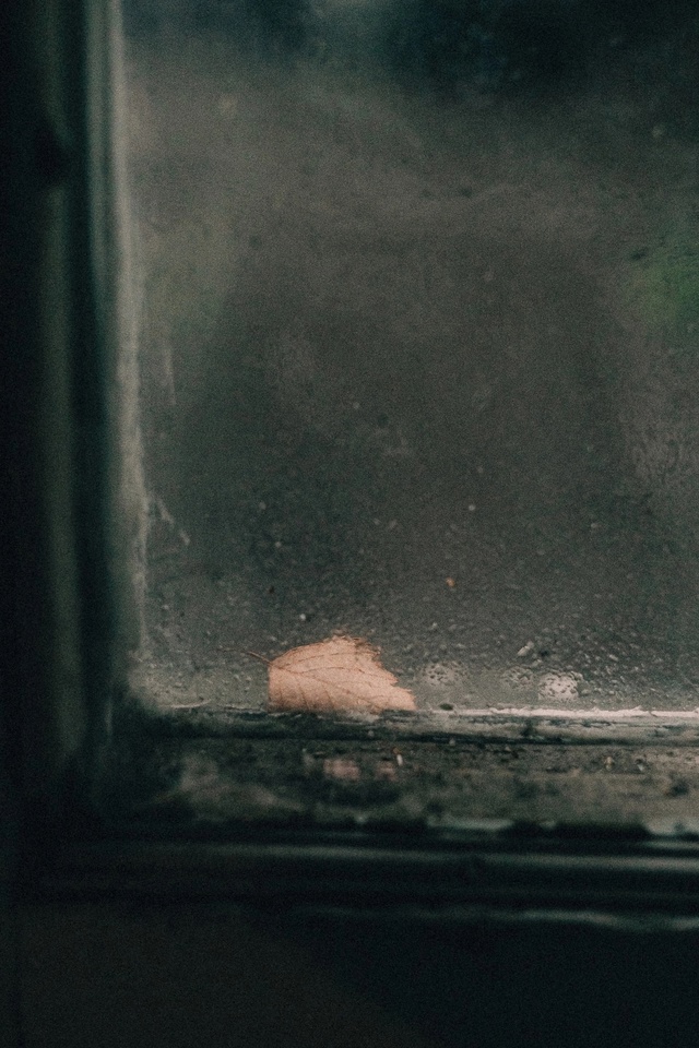 Дождливые будни 🌧 Подольск ❤️
📷 Елена Георгиевская