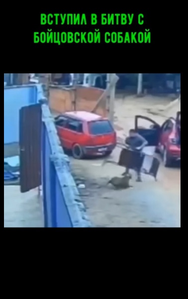 Что бы сделали вы, оказавшись в такой ситуации?