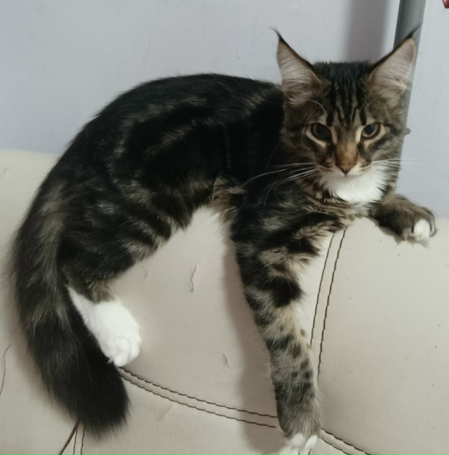 ❗❗❗УБЕЖАЛ КОТ ❗❗❗
Помогите найти( 😭
Дети очень пер?...