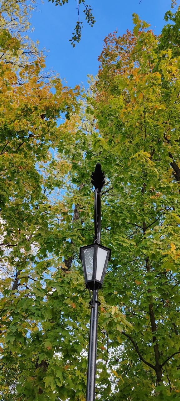 Осень в Балашихе🍁