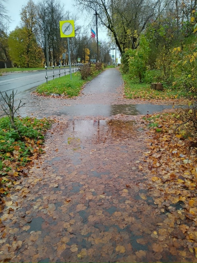 Уважаемый Мосавтодор.
Пожалуйста, очистите от листьев...