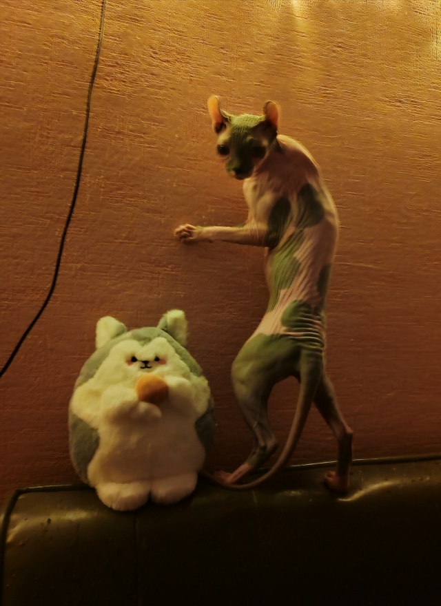 Каларатри Арчибальдовна вашему вниманию 🥰