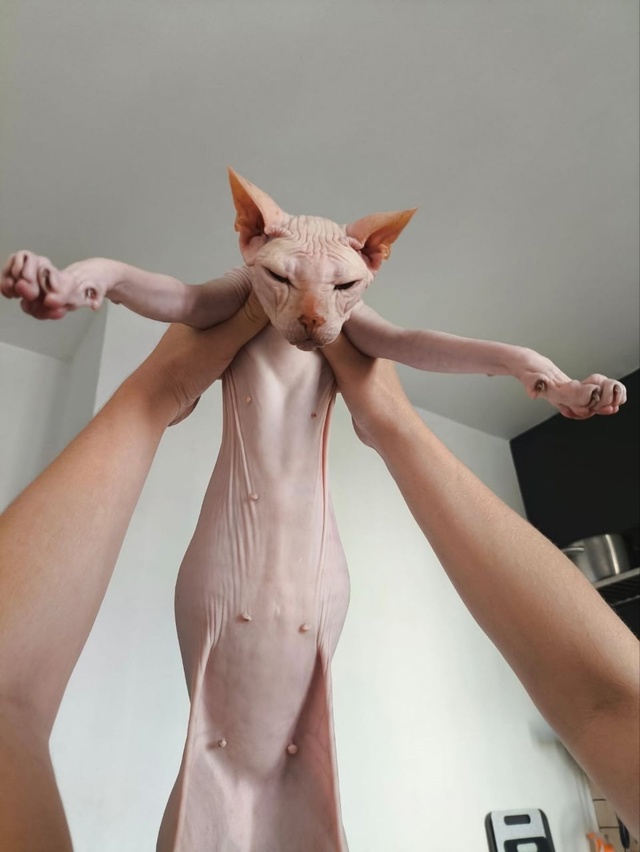 Неделю был у бабушки
