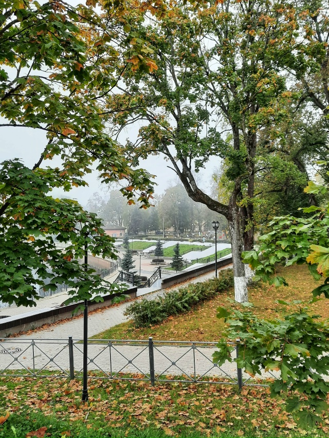 Туманное утро🍁