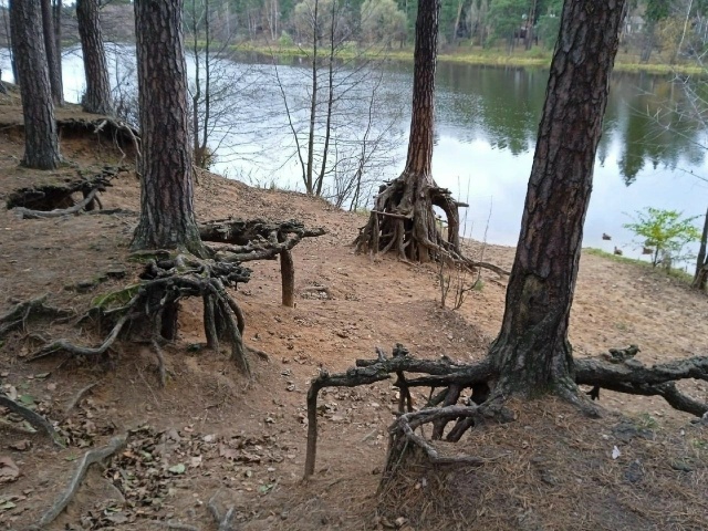 Кратово - это место, где вы можете встретить настоящую ?...