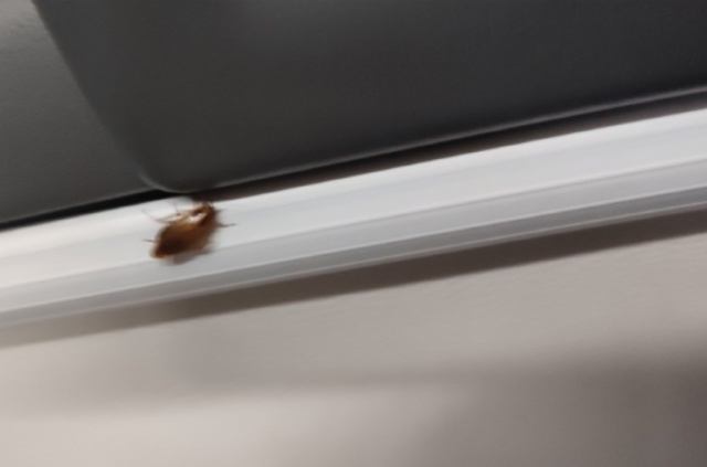 Добрый день, вчера ехали в 101 автобусе из СПб в Кронштад...