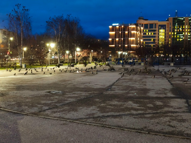 Кажется эти вороны что-то замышляют!!