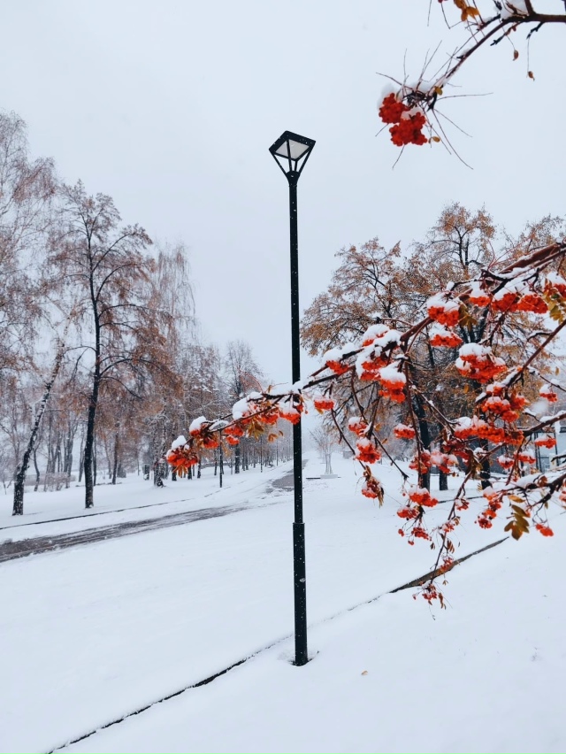 Дoбpoe утpo, дpузья! Отличнoгo вaм дня и хopoшeгo нacтpoeния!